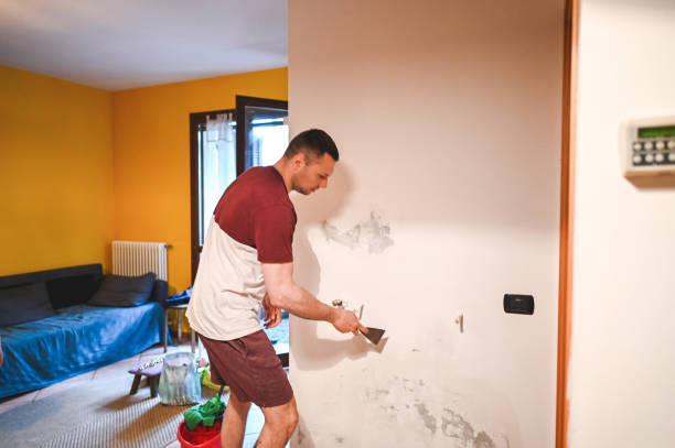 Mold Removal Process in Oldsmar, FL
